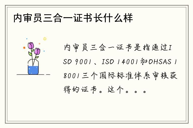 内审员三合一证书长什么样？这个证书有什么作用？