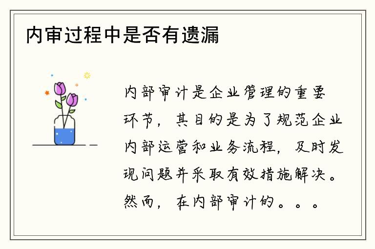 内审过程中是否有遗漏？是否能全面评估风险？