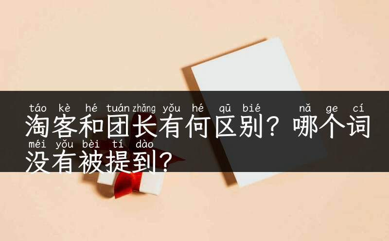 淘客和团长有何区别？哪个词没有被提到？