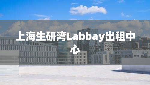 上海生研湾Labbay出租中心