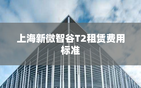 上海新微智谷T2租赁费用标准