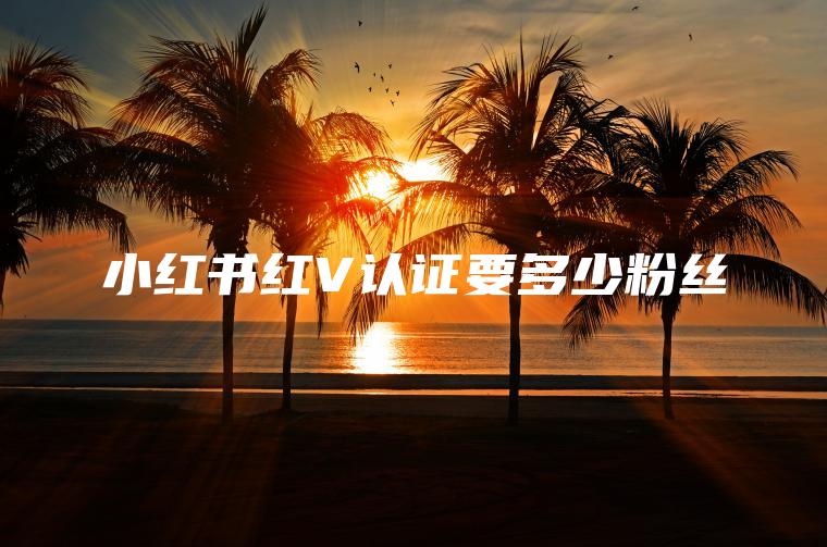 小红书红V认证要多少粉丝