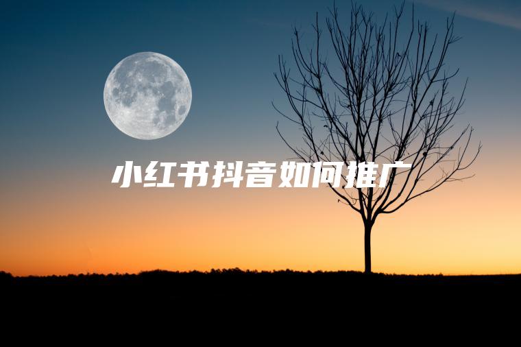 小红书抖音如何推广