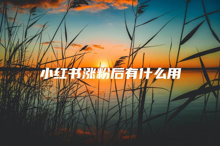 小红书涨粉后有什么用