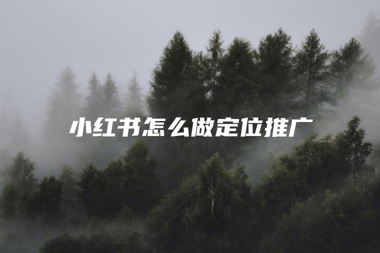 小红书怎么做定位推广