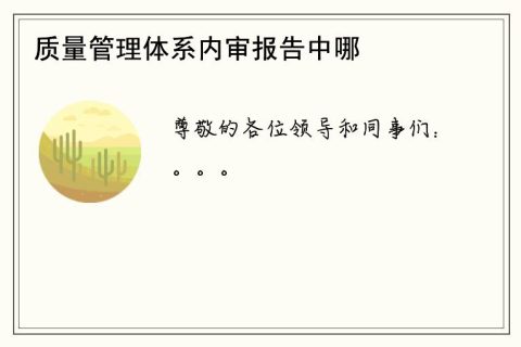 质量管理体系内审报告中哪些方面需要改进？