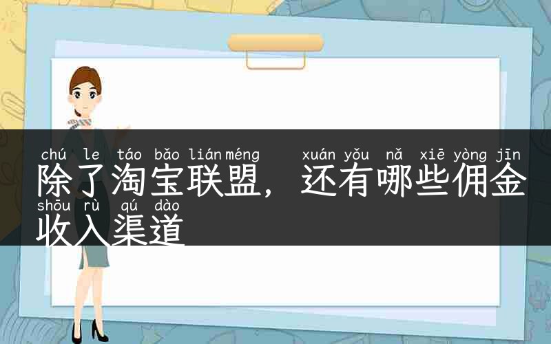 除了淘宝联盟，还有哪些佣金收入渠道